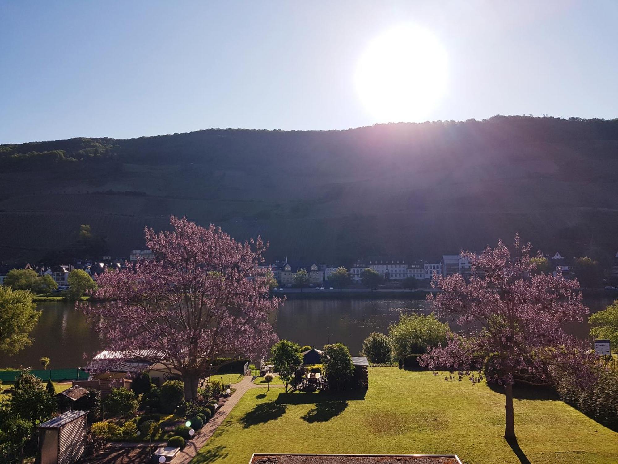 Zum Blauglockenbaum Leilighet Zell an der Mosel Eksteriør bilde